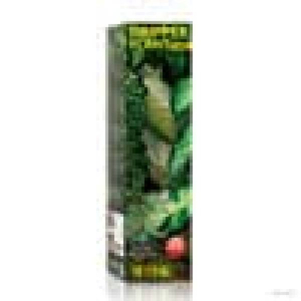 Preview: DRIPPER PLANT LARGE